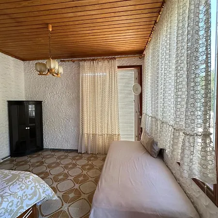 Vila Monkey Americas